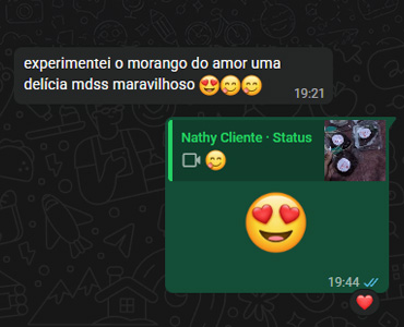 morango-do-amor-botucatu-depoimento-7
